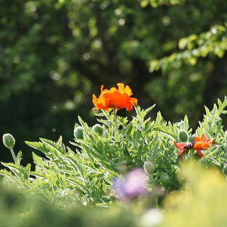 Landgasthof Em Lade クローネンブルク エクステリア 写真