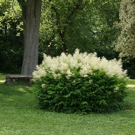 Landgasthof Em Lade クローネンブルク エクステリア 写真