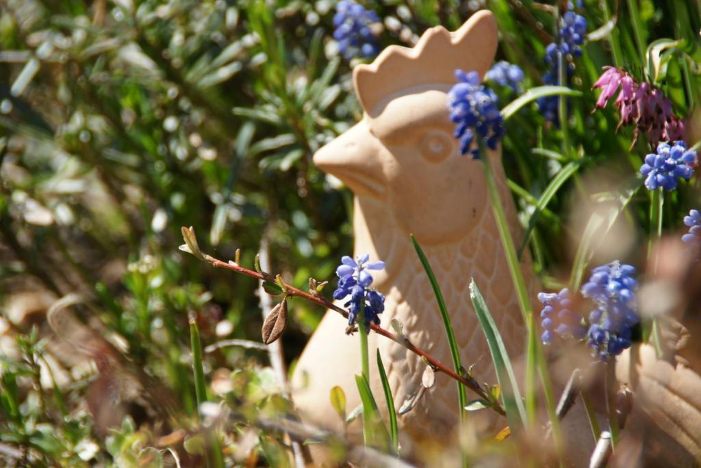 Landgasthof Em Lade クローネンブルク エクステリア 写真